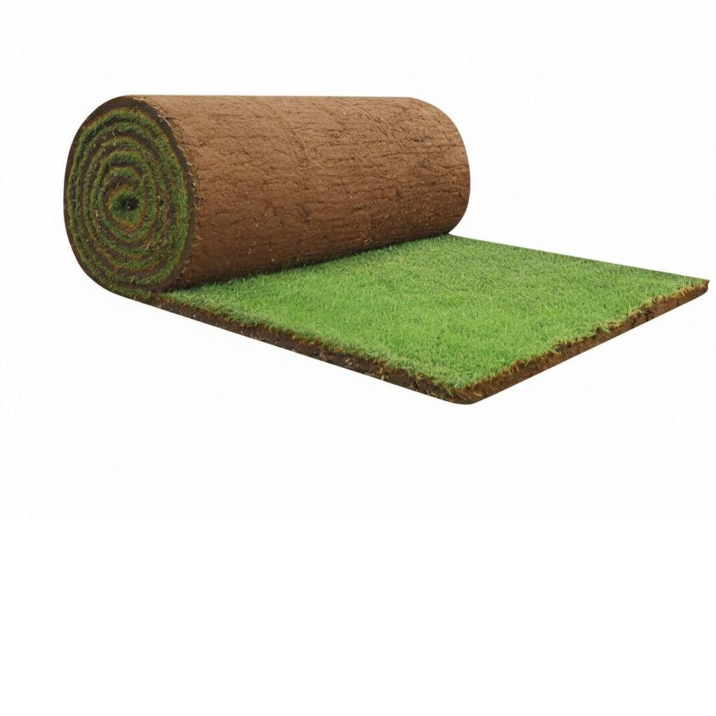 Relva Natural em Tapete e Sementes | Plantox – Plantox Store